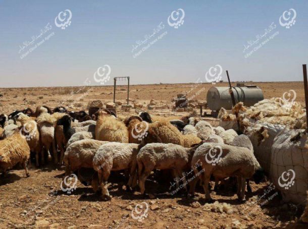 اشتباك مسلح قرب مطار معيتيقة