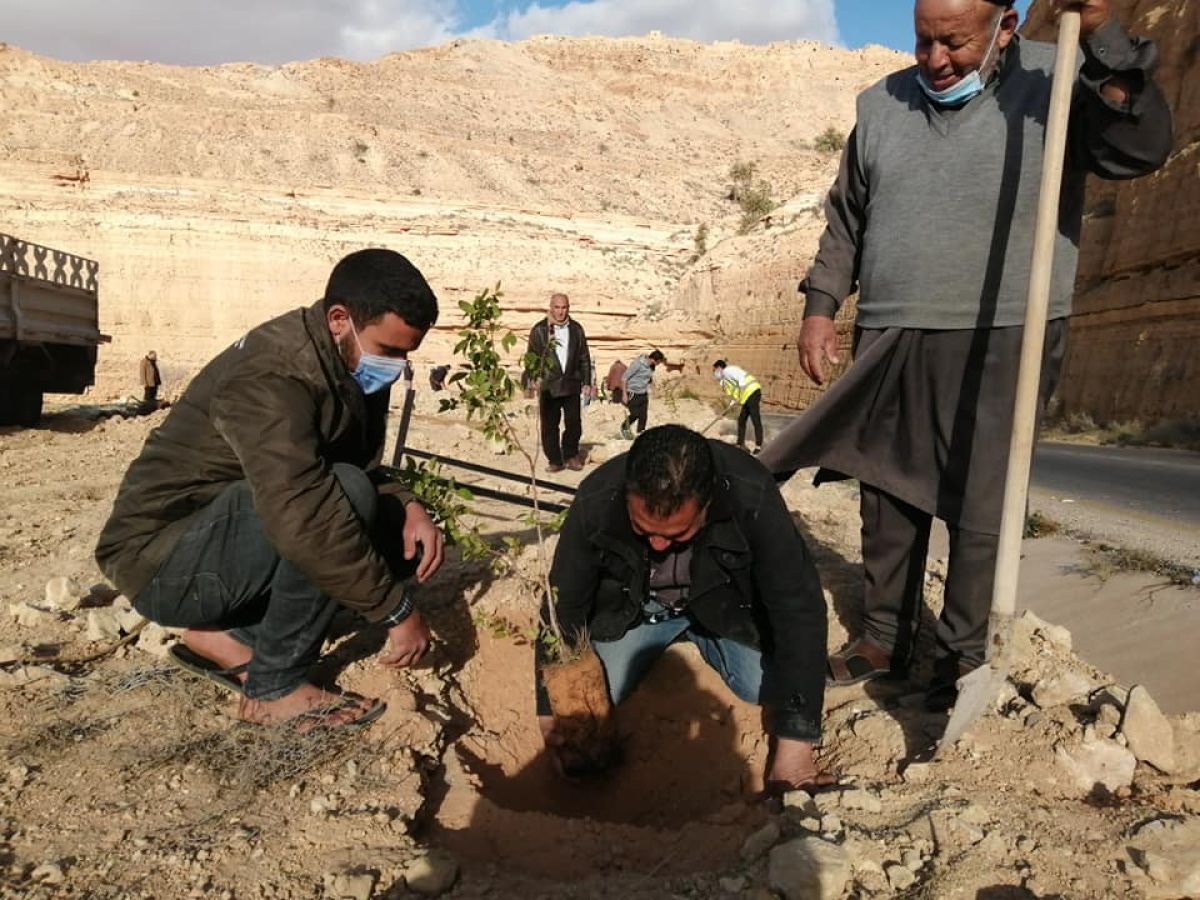 حملة تشجير طريق جادو جناون (الشليوني)