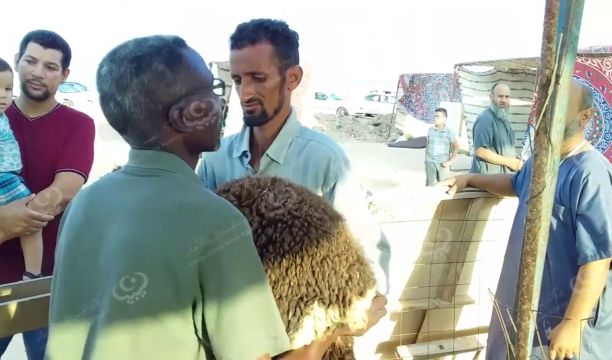 زوارة.. جمعية تجمع وتوزع الأضاحي على المحتاجين