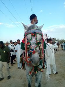 افتتاح مهرجان الفروسية والميز الشعبي بوادي عتبة